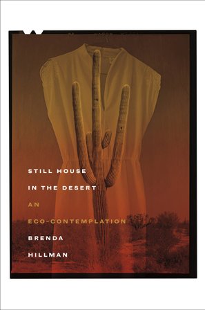 Still House in the Desert bookcover