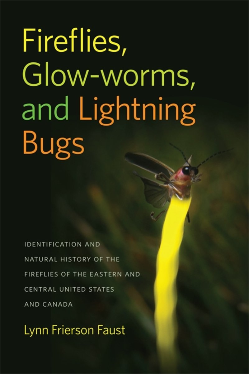 Fireflies, Glow-Worms, and Lightning Bugs: Identification and Natural ...