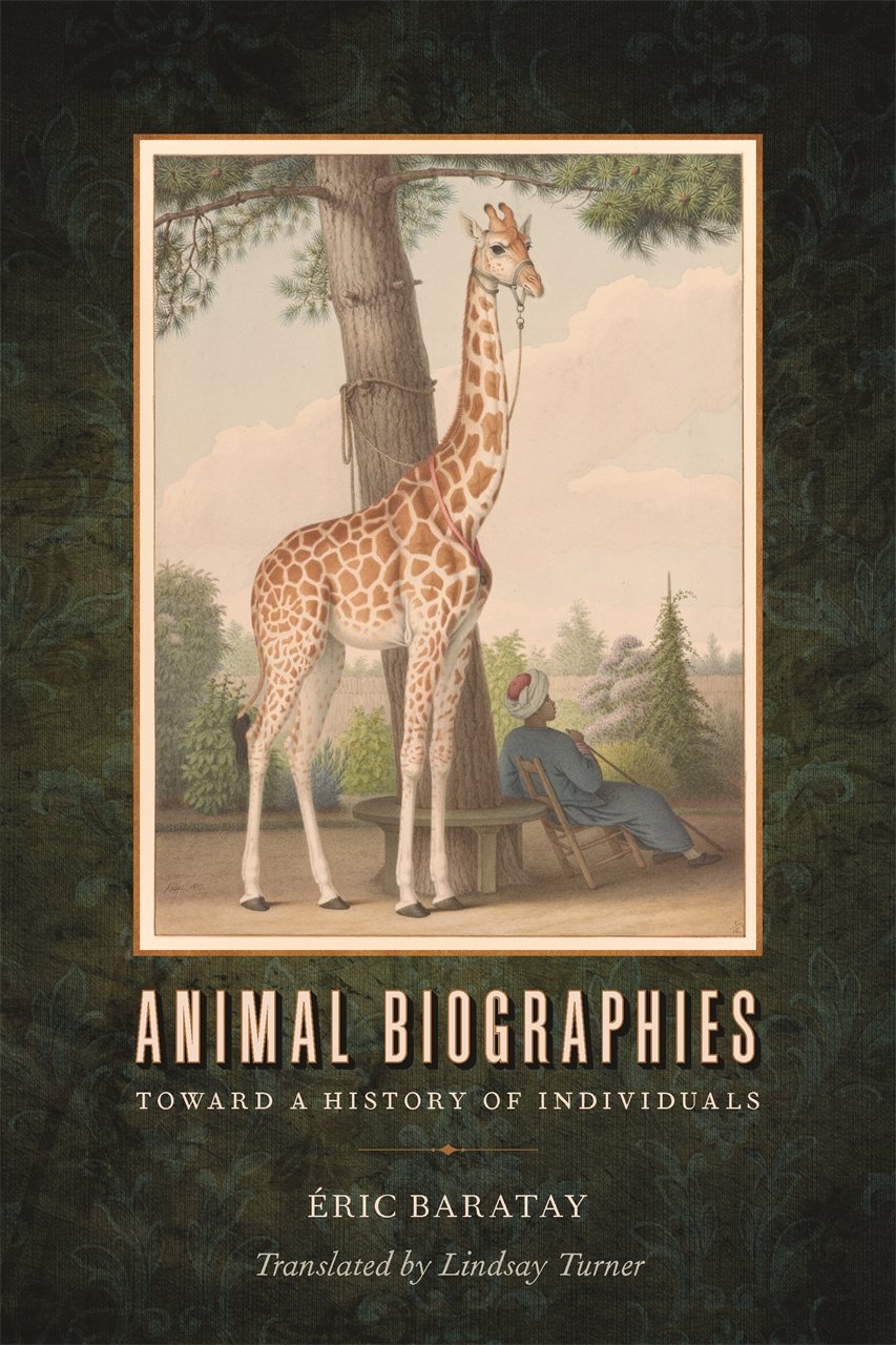 Books To Transform How You Think About Wildlife Conservation - Bookshop.org