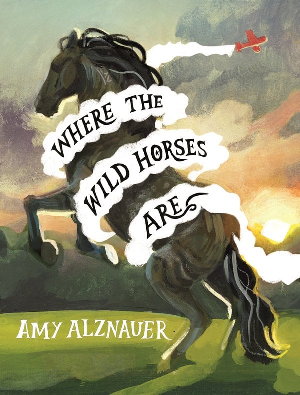 Where the Wild Horses Are by Amy Alznauer