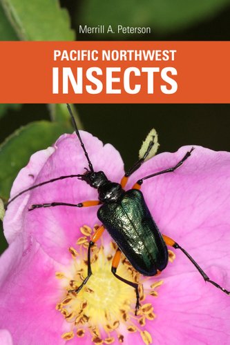 Draw Bugs! - Bookshop.org