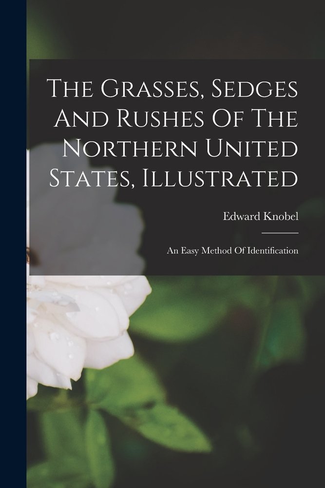 The Grasses, Sedges And Rushes Of The Northern United States ...