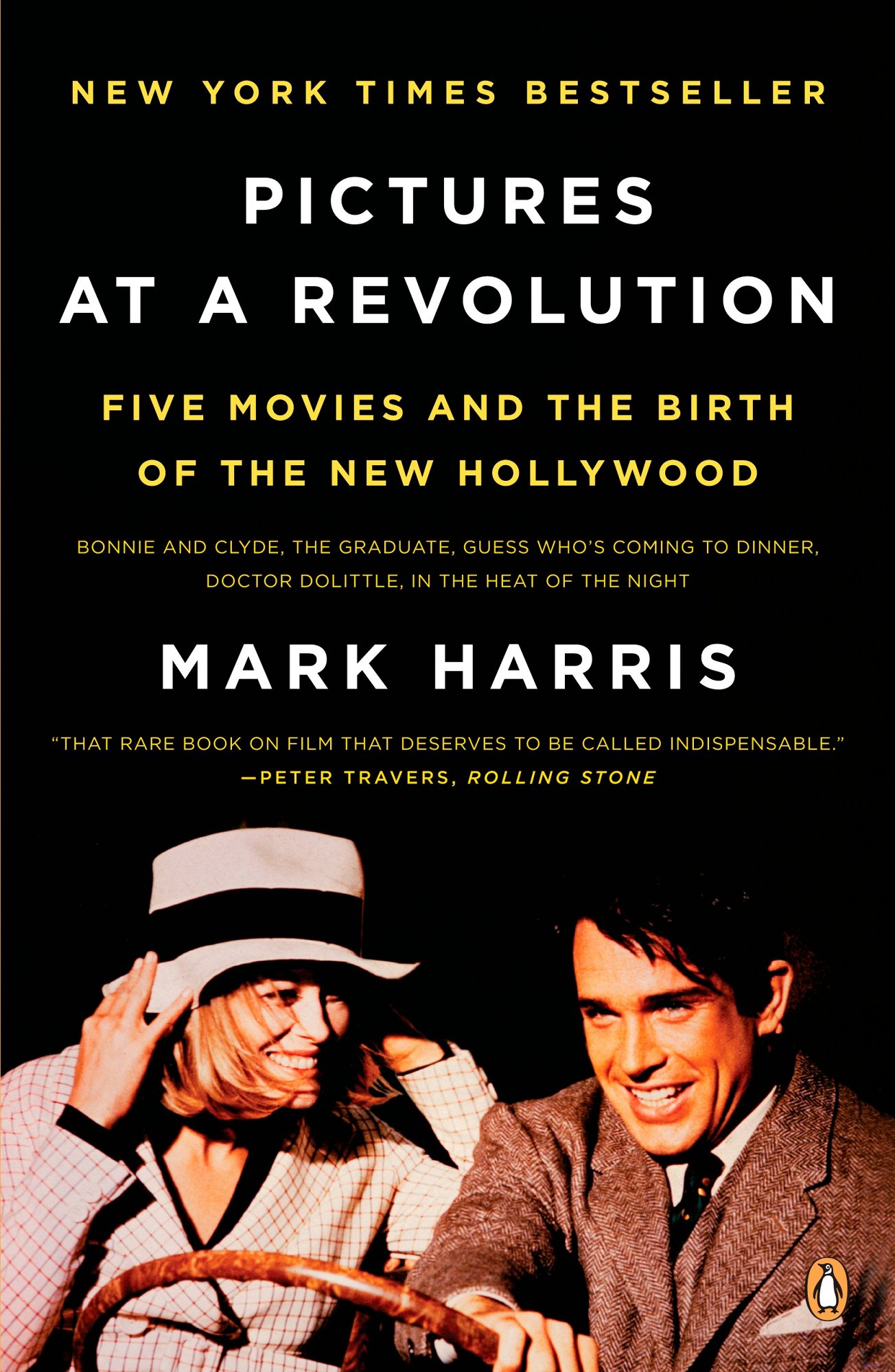 Pictures at a Revolution bookcover