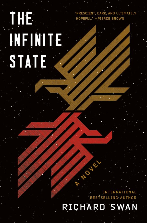 The Infinite State by Richard Swan