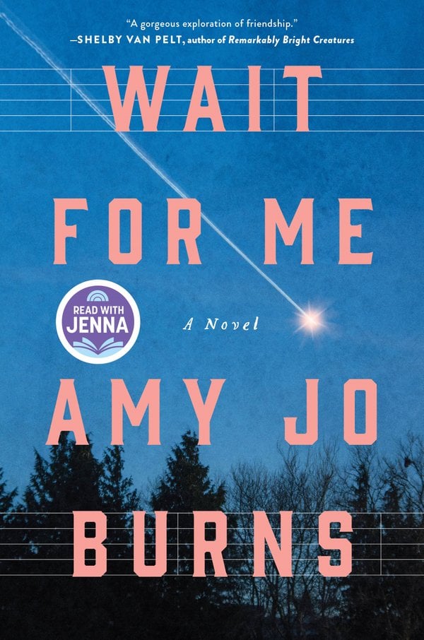 Cover of Wait for Me