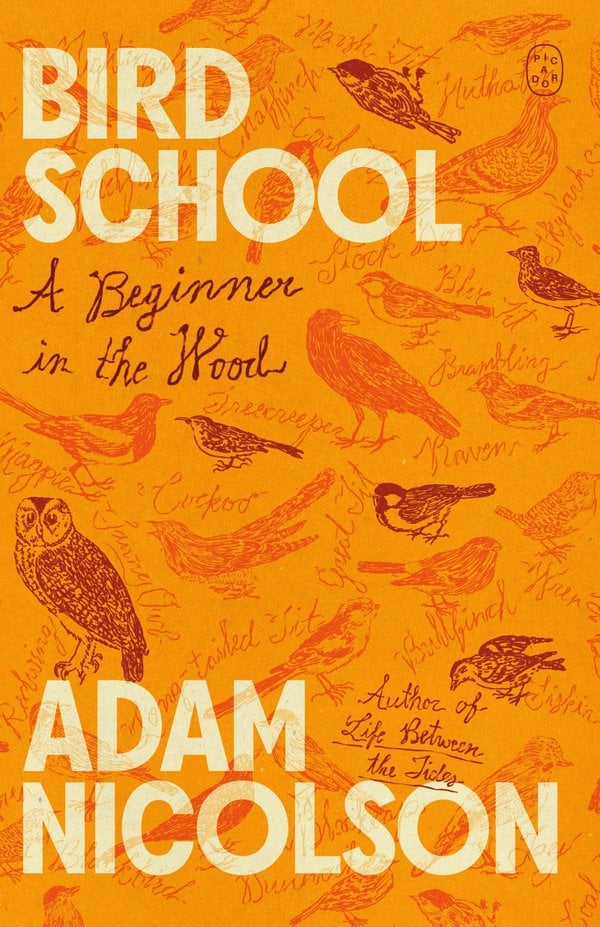 Bird School bookcover