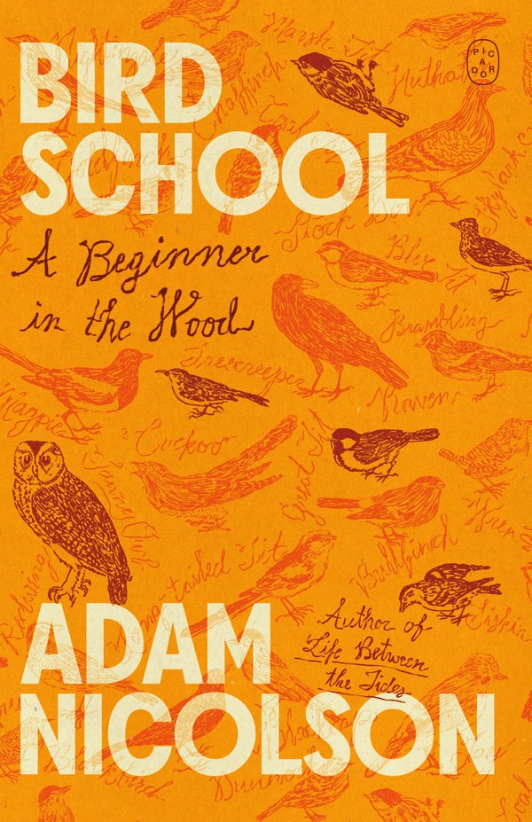 Bird School bookcover