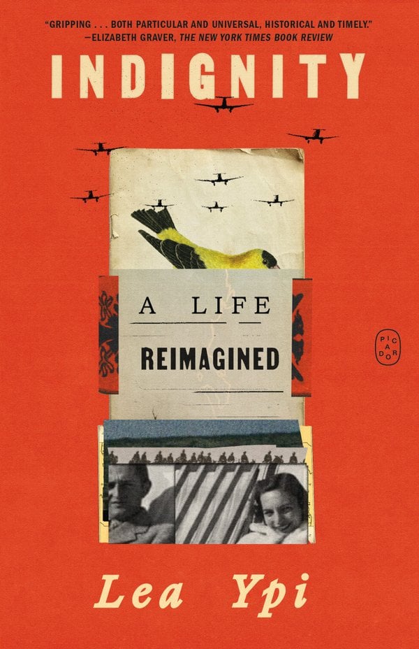 Indignity bookcover