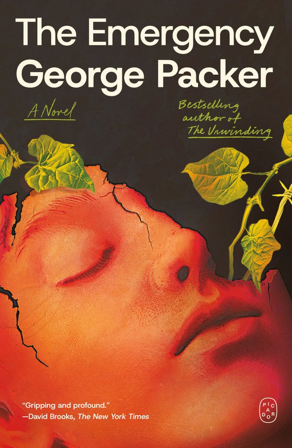 The Emergency bookcover