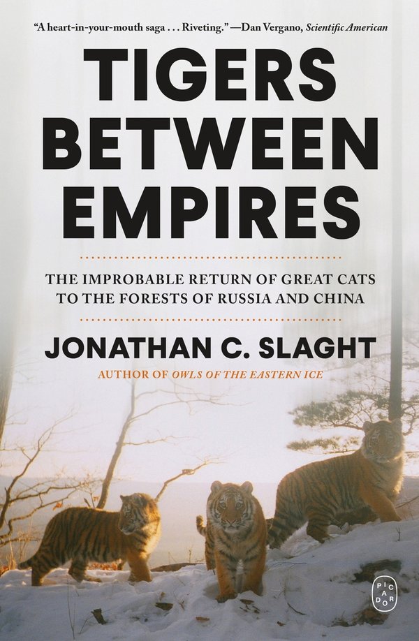 Tigers Between Empires bookcover