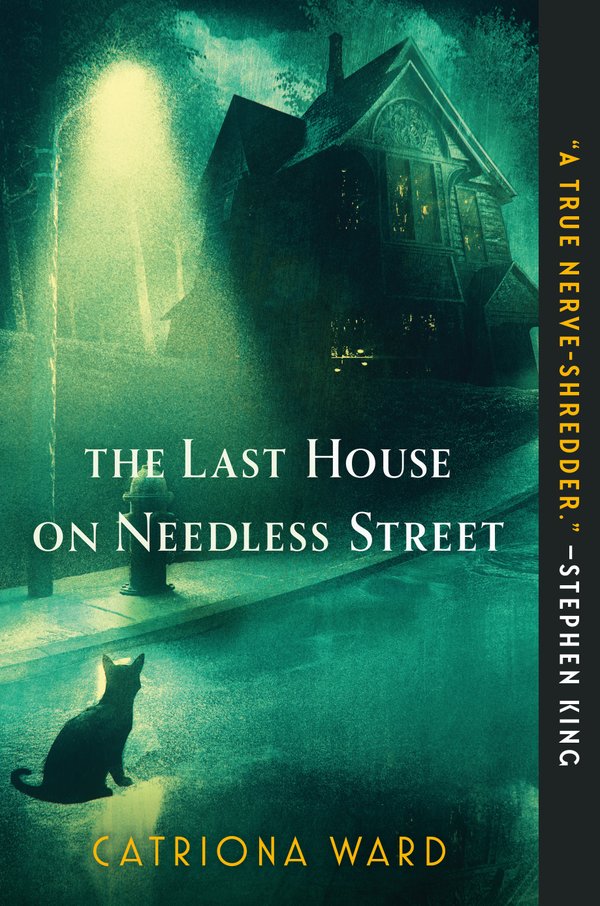 The Last House on Needless Street bookcover