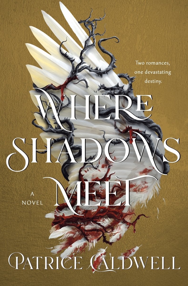 Where Shadows Meet bookcover
