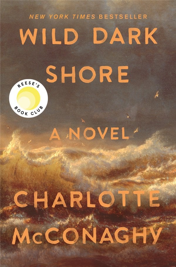 Wild Dark Shore bookcover