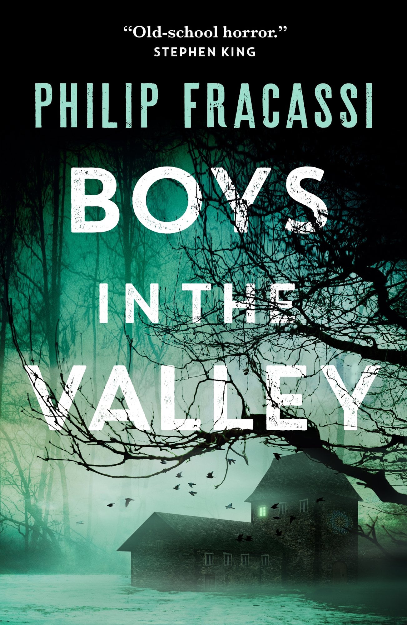 Boys in the Valley by Philip Fracassi, a horror fiction book cover featuring black, intertwined branches, and two houses at the bottom, with birds flying above against a backdrop of a cool-toned blue-green atmosphere, and the title in white at the center.