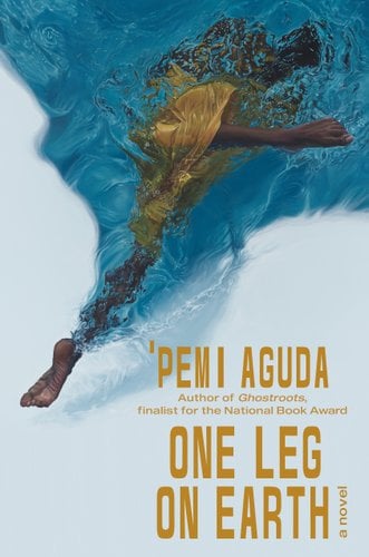 Cover of One Leg on Earth
