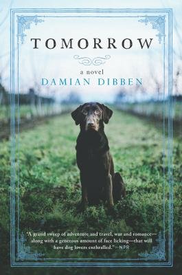Tomorrow: A Novel by Damien Dibben shows a black dog standing in a green field that blurs the farther away it gets.