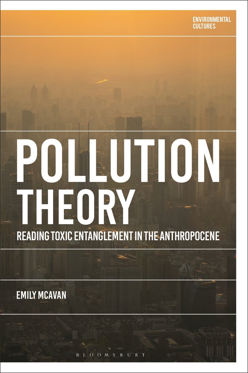 Pollution Theory a book by Emily McAvan, Richard Kerridge, and Greg ...