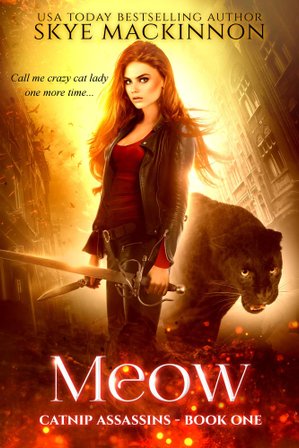 Meow bookcover