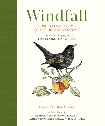 Book jacket for Windfall: Irish Nature Poems to Inspire and Connect by Jane Clarke, illustrated by Jane Clarkill. A small black bird with a yellow beak perches on a tree, whose branch ends are adorned with small green leaves and orange fruits. The spine of the book is solid green.