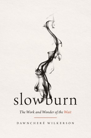 Slow Burn bookcover