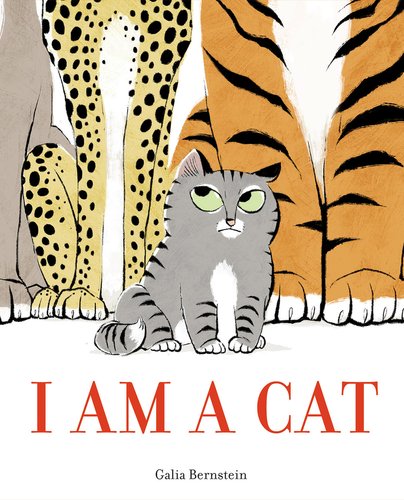 Book cover of "I Am a Cat," by Galia Bernstein, featuring a gray and white tabby cat with black stripes looking upwards; behind him are the seated bodies of a mountain lion, cheetah, and tiger with heads out of frame.