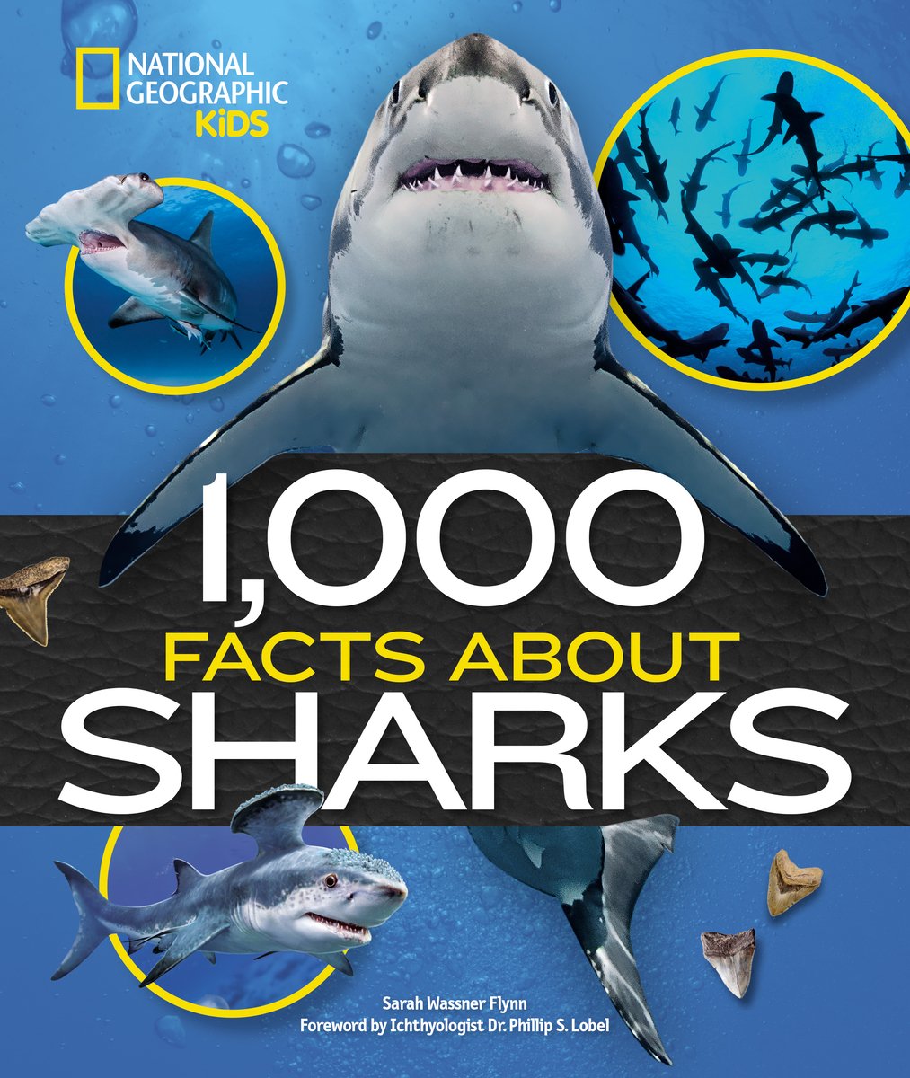 1,000 Facts About Sharks by Sarah Wassner Flynn middle-grade book cover depicting the ocean with three rings of yellow showcasing a different shark, one large shark in the middle behind the title, and two shark teeth in the bottom right corner.