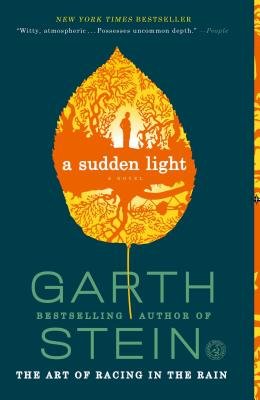 A Sudden Light cover