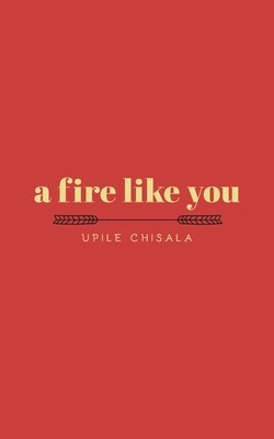 A Fire Like You bookcover