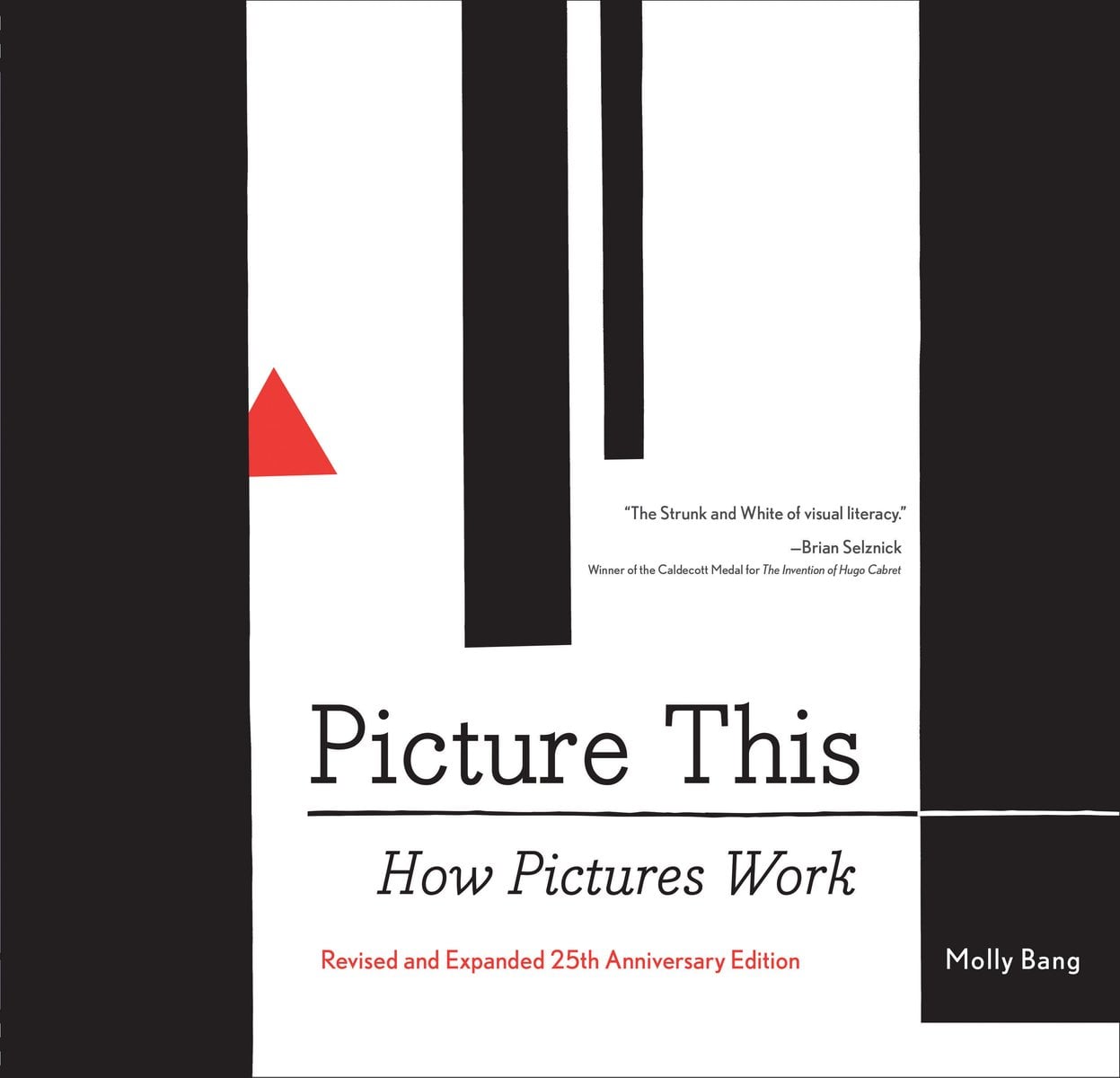 Picture This a book by Molly Bang - Bookshop.org US