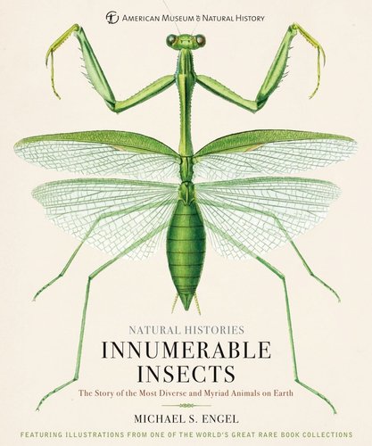 Draw Bugs! - Bookshop.org