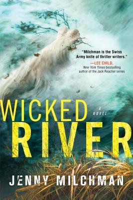 Wicked River by Jenny Milchman book cover. The edge of a cliff overlooking a forceful river.