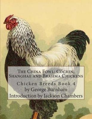 The China Fowl: Cochin, Shanghae and Brahma Chickens: Chicken Breeds ...