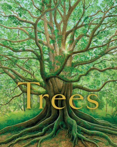 Book cover of Trees by Tony Johnston, Illustrated by Tiffany Bozic, featuring a giant tree with twisting brown limbs and roots and sparse green leaves, backlit by the sun through its many branches.
