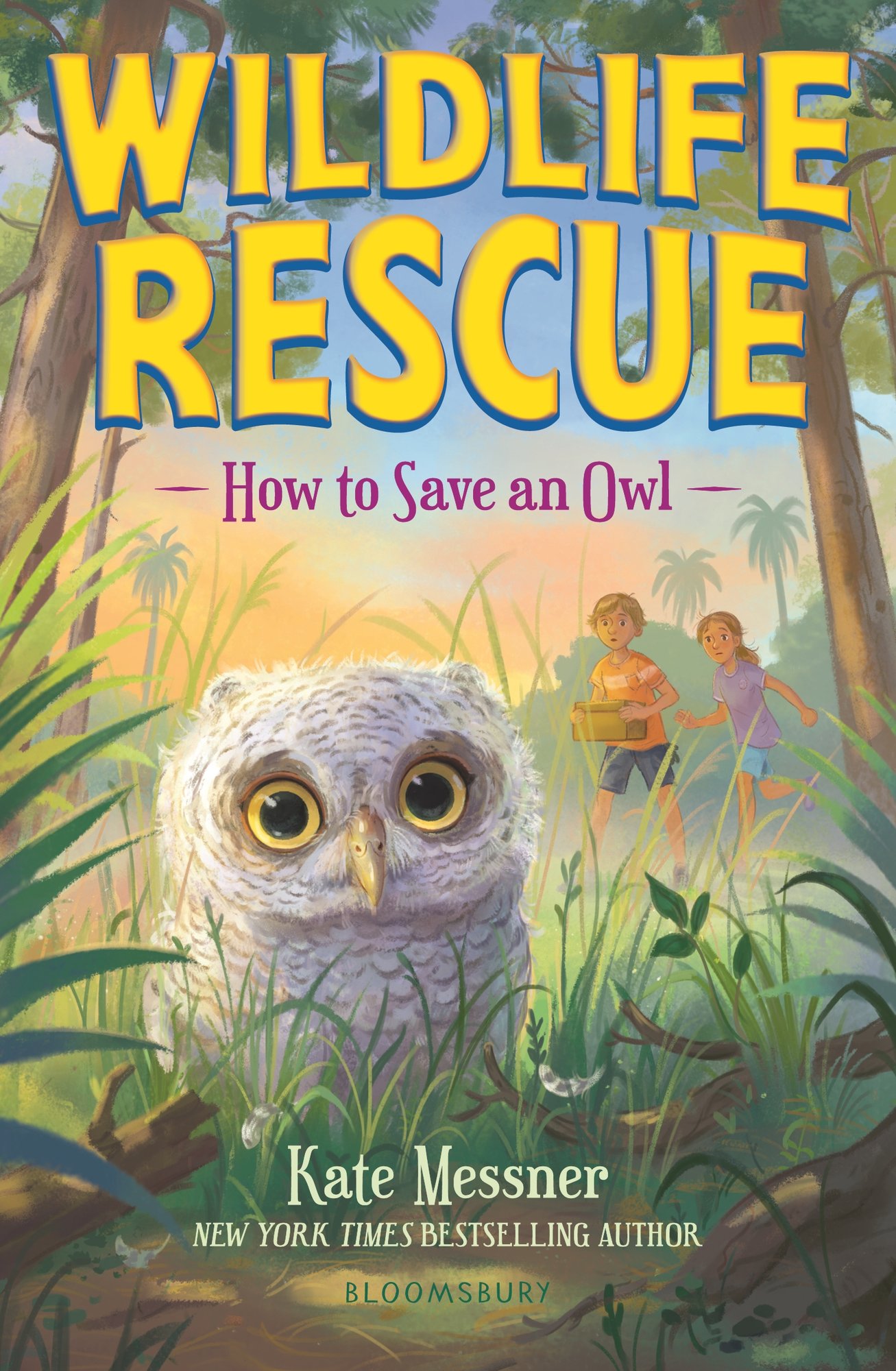 How to Save an Owl a book by Kate Messner - Bookshop.org US