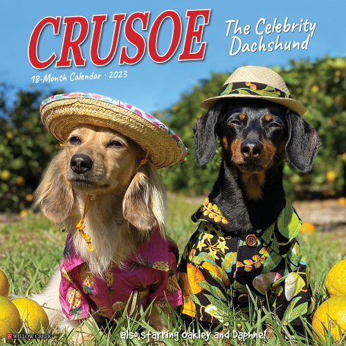 Crusoe the Celebrity Dachshund 2023 Wall Calendar a book by Ryan Beauchesne