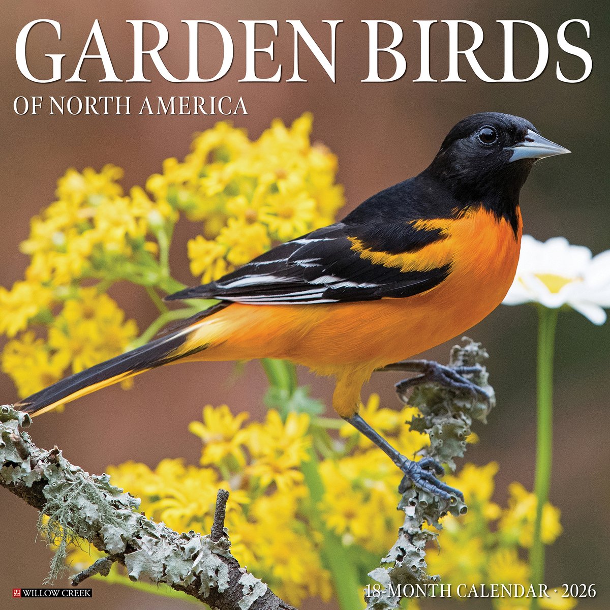Garden Birds 2026 Wall Calendar a book by Willow Creek Press - Bookshop ...
