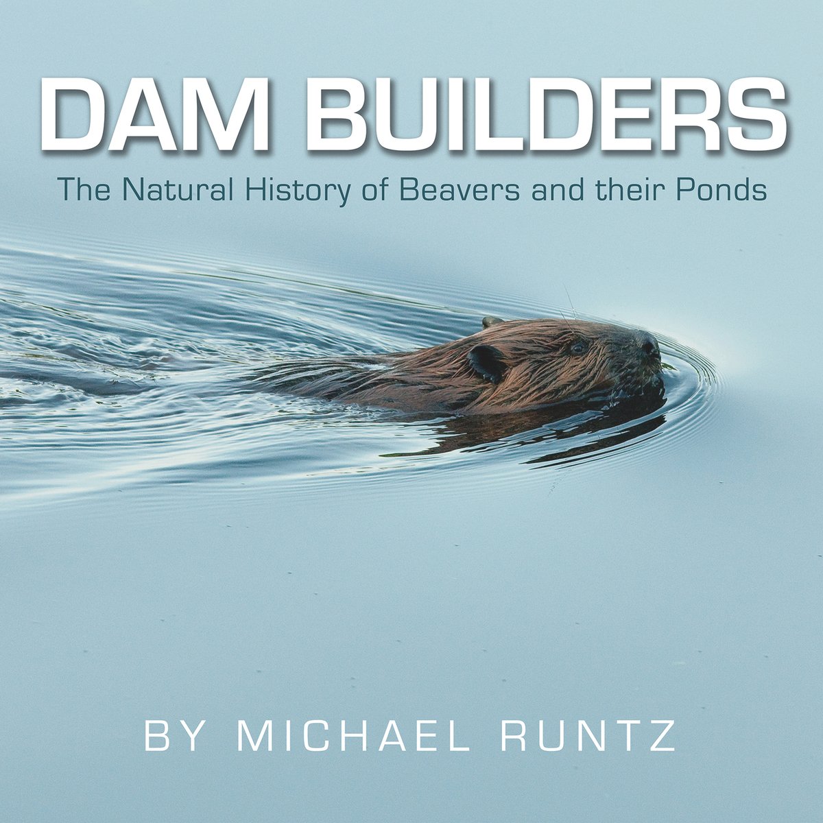 Mike Runtz Dam Builders a book by Michael Runtz - Bookshop.org US