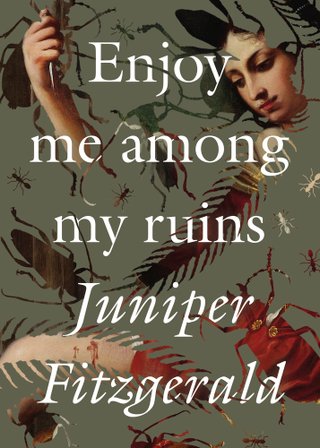 Enjoy Me Among My Ruins bookcover