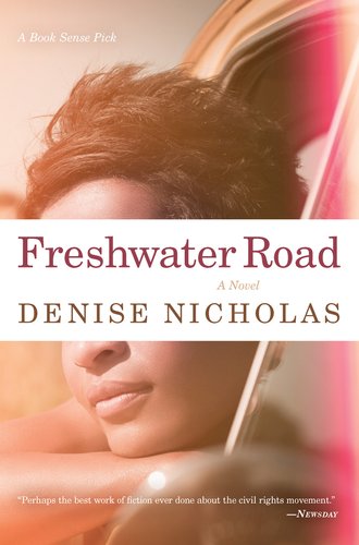 Freshwater Road by Denise Nicholas shows a woman with a pixie haircut resting her head on her arm while looking out her car window. A red haze shines on the right side of the cover.