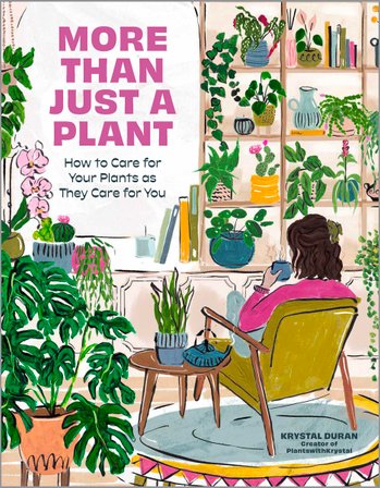 More Than Just a Plant bookcover