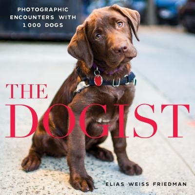 The Dogist: Photographic Encounters With 1000 Dogs by Elias Weiss Friedman. A photograph of chocolate lab dog on the street, tilting its head and looking into the camera, is visible behind red text of "The Dogist."