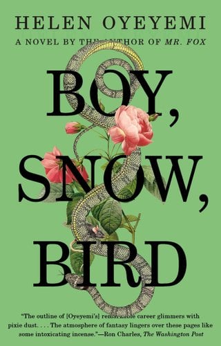 Book cover for "Boy, Snow, Bird" by Helen Oyeyemi.