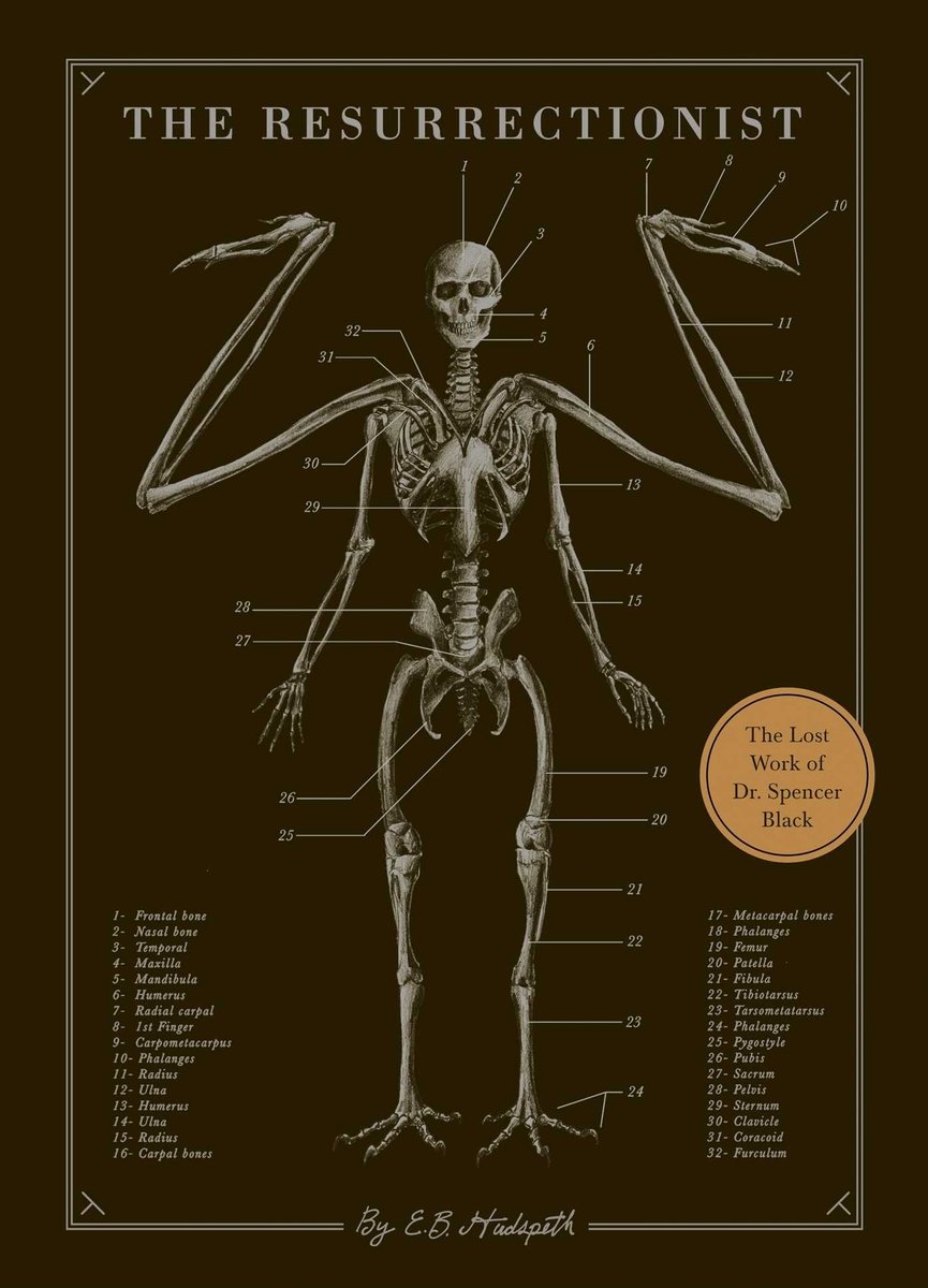 A skeleton that is a cross between a human and mythological beast on a black background. There are lines with numbers attached pointing to various parts of this skeleton, with the kay at the bottom. The title is at the top of the book cover.