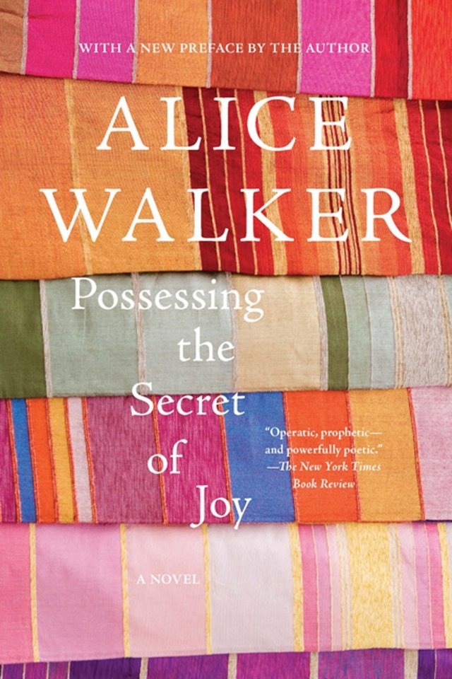 Possessing the Secret of Joy by Alice Walker book cover, layers of multi-colored, striped fabric.