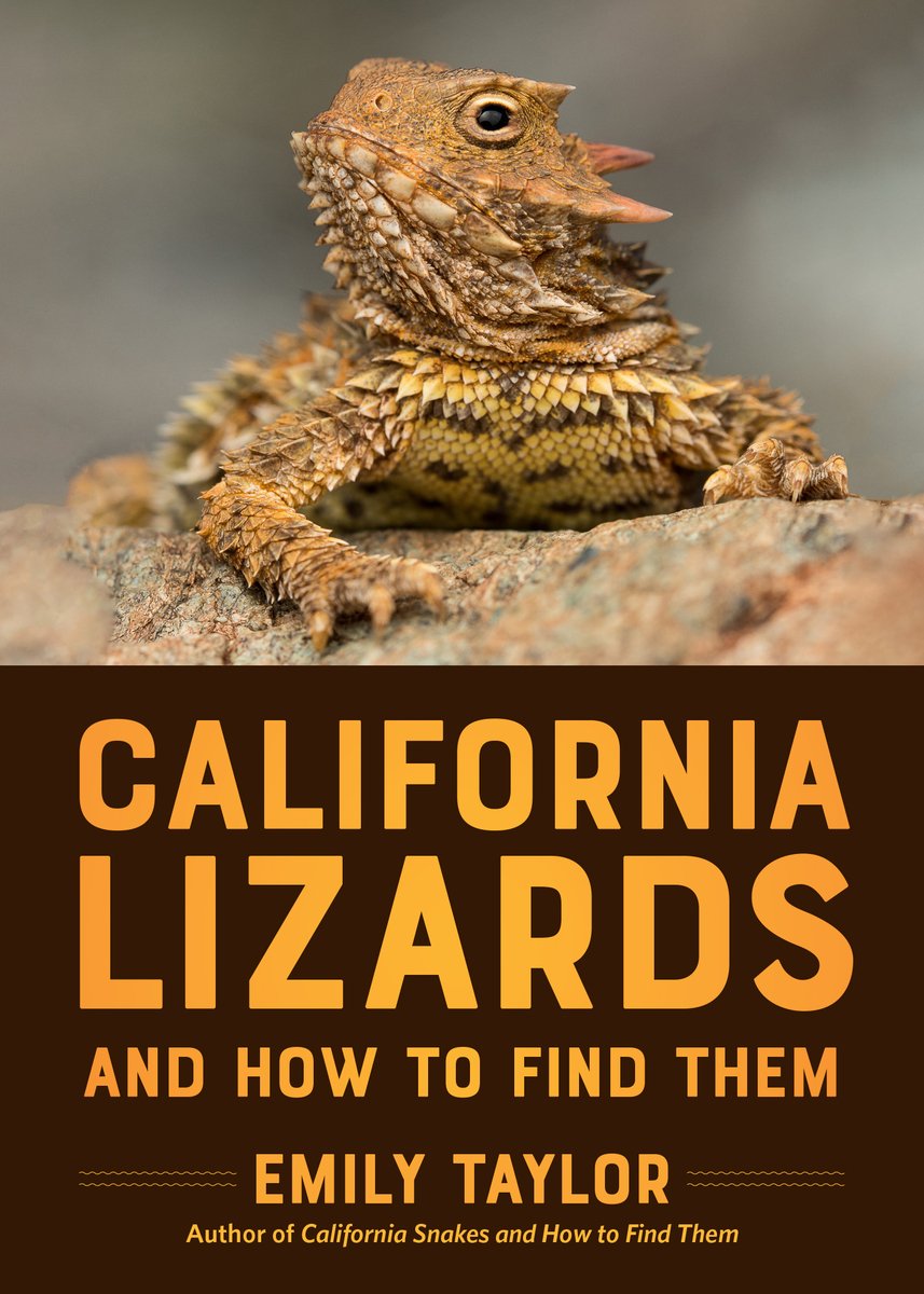 California Lizards and How to Find Them a book by Emily Taylor ...