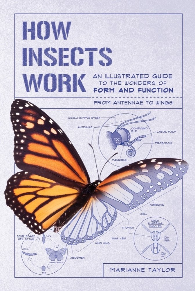 How Insects Work a book by Marianne Taylor - Bookshop.org US