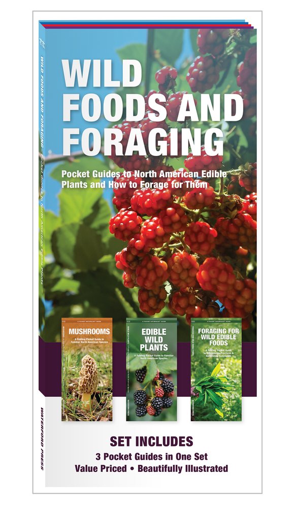 Wild Food Foraging Wild Foods and Herbals - Bookshop.org
