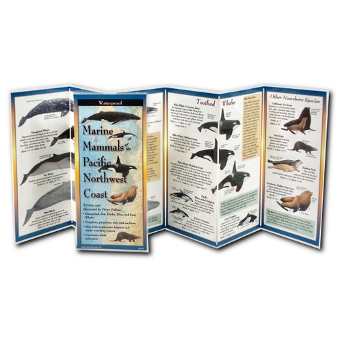 Marine Mammals of Pacific Northwest Coast a book by Pieter Folkens