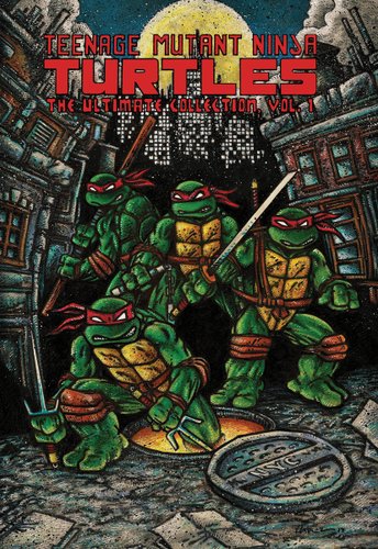 Teenage Mutant Ninja Turtles first edition book cover