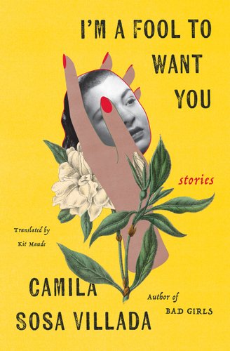 I’m a Fool to Want You by Camila Sosa Villada, book cover.